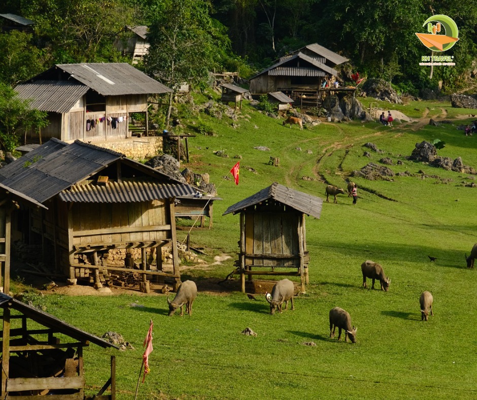 🏡 HANG TÁU – NGÔI LÀNG NGUYÊN THỦY GIỮA CAO NGUYÊN MỘC CHÂU 🌿